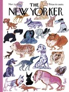 Ilustrație The NY Magazine Cover 85