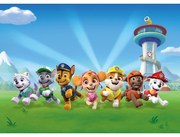 Foto-tapet copii Paw Patrol  252 x 182 cm, 4 piese