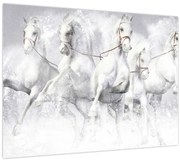 Tablou - Ilustrație de cai de curse (70x50 cm)