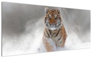 Tablou cutigru fugind prin zăpadă (120x50 cm)