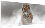 Tablou cutigru fugind prin zăpadă (120x50 cm)