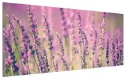 Tablou cu levanda (120x50 cm), în 40 de alte dimensiuni noi