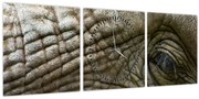 Tablou - Prim-planul ochiului de elefant vechi (cu ceas) (90x30 cm)