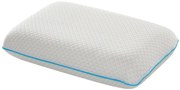 Perna Argentum Memory Arctic Gel 40x60x12 cm