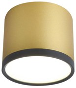 Plafonieră LED TUBA LED/9W/230V