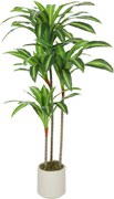 HOMCOM Arbore artificial Dracaena 120 cm cu ramuri flexibile - Verde | Aosom Romania