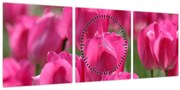 Tablou - Lalele roz (cu ceas) (90x30 cm)