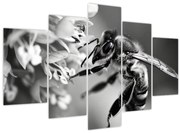 Tablou - Detaliu de albină (150x105 cm)