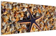 Tablou cu stea de mare (120x50 cm)