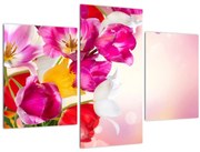 Tablou cu lalele (90x60 cm)