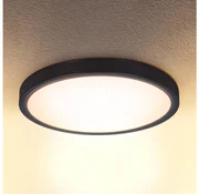 Plafonieră LED dimabilă Brilagi ESTELA LED/36W/230V 3000-6500K ø 30 cm negru + telecomandă