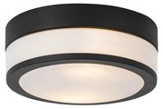 Plafonieră modernă de exterior neagră 23 cm IP44 - Flavi
