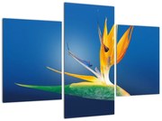 Tablou modern (90x60cm)