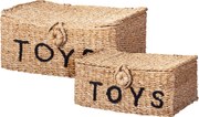 Cutii închise pentru jucării TOYS, 2 coșuri