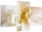 Tablou - Floare (90x60 cm)