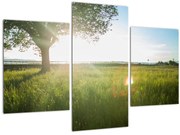 Tablou cu lunca în vară (90x60 cm)