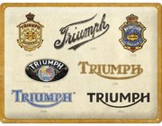 Placă metalică Triumph - Logo Evolution