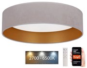 Plafonieră LED dimabilă Brilagi VELVET SMART LED/24W/230V Wi-Fi Tuya + telecomandă