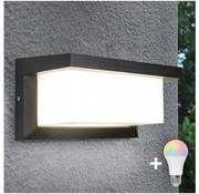 Aplică de perete exterior LED RGBW NEELY, compatibilă cu dimmer, 1xE27/9W/230V, IP54, antracit