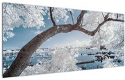 Tablou cu copac înzăpezit lângă apă (120x50 cm)