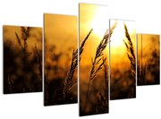 Tablou - Apus de soare (150x105 cm)