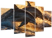 Tablou - Delfinii (150x105 cm)