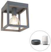 Plafoniera inteligentă industrială gri închis incl. Wifi G95 - Cage