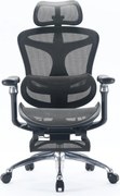 Scaun Ergonomic SIHOO C300, Suport Lombar Inteligent, Tetieră 3D, Cotiere 5D, Șezut Glisant, Spătar Reglabil pe Înălțime, Suport pentru Picioare, Mesh, Negru