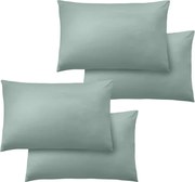 Fețe de pernă 4 buc. 75x50 cm So Soft Non-Iron – Catherine Lansfield