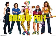 Poster Birds of Prey: And the Fantabulous Emancipation of One Harley Quinn - Group