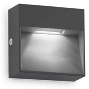 Aplica LED iluminat exterior ambiental IP65 Dedra ap big