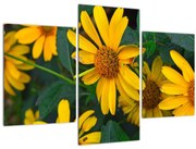 Tablou cu flori galbene (90x60 cm)