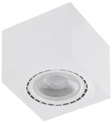 Spot aplicat de tavan/plafon ECO ALEX V2 alb