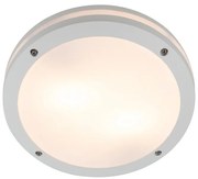 Plafoniera pentru exterior IP54 FANO R 30 WH