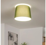 Brilagi - Plafonieră LED aplicată CERIA 1xE27/40W/230V, Ø 30 cm, verde