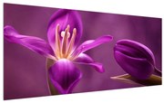 Tablou cu floare violet (120x50 cm), în 40 de alte dimensiuni noi