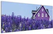 Tablou cu câmp de lavanda (120x50 cm)