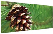 Tablou cu con (120x50 cm)