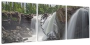 Tablou cu cascade (cu ceas) (90x30 cm)