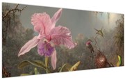 Tablou - Martin Johnson Heade, Cattleya Orchid and Three Hummingbirds, reproducere (120x50 cm)