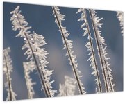 Tablou - Îngheț (90x60 cm)
