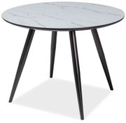 Masă de sufragerie Irina (alb + negru) (pentru 4 persoane). Promo -6%. 1050328