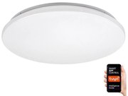 Plafonieră LED RGB dimabilă CERRIGEN LED/48W/230V Rabalux 71036