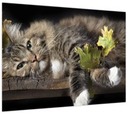 Tablou pe sticlă - Pisica mincinoasă (70x50 cm)
