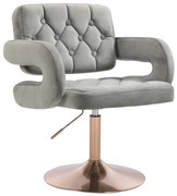 HR8403N Scaun Catifea Gray Bază Aurie