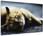 Tablou cu pisica (90x60 cm)