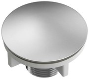 Capac pentru orificiul de robinet Quadron Unique finisaj inox