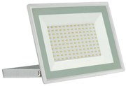 Proiector LED de exterior NOCTIS LUX 3 LED/100W/230V 4000K IP65 alb