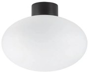Ideal Lux - Plafonieră exterior CLIO 1xE27/42W/230V IP44 negru