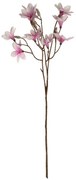 Ramură de magnolie purpurie 70 cm înălțime. 9flori și muguri
